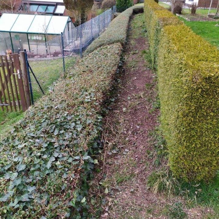 cdaf0f5e-0da9-4aee-9348-fd69c1f3d657